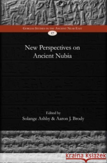 New Perspectives on Ancient Nubia  9781463243425 Gorgias Press - książka