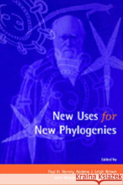 New Uses for New Phylogenies Leigh Brown Harvey Harvey                                   J. Maynard Smith 9780198549840 Oxford University Press, USA - książka