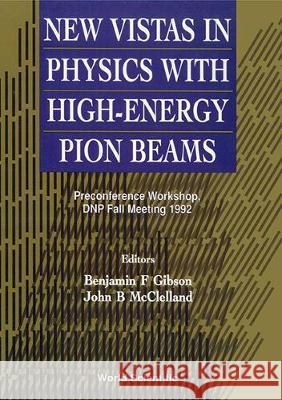 New Vistas in Physics with High-Energy Pion Beams - Preconference Workshop, Dnp Fall Meeting 1992 John B. McClelland Benjamin F. Gibson 9789810212759 World Scientific Publishing Company - książka