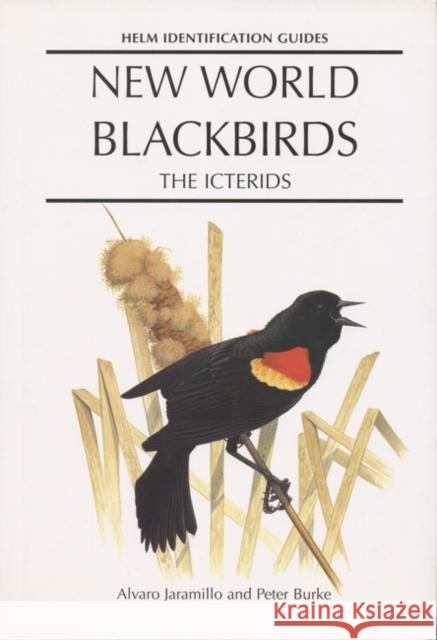 New World Blackbirds: The Icterids Alvaro Jaramillo, Peter Burke 9780713643336 Bloomsbury Publishing PLC - książka