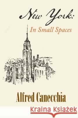 New York: In Small Spaces Alfred Canecchia 9781952405143 Mulberry Books - książka