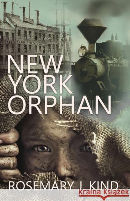 New York Orphan Rosemary J. Kind Katie Stewart 9781909894358 Alfie Dog Limited - książka