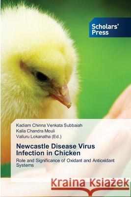 Newcastle Disease Virus Infection in Chicken Kadiam Chinna Venkat Kalla Chandr Valluru Lokanath 9786138948292 Scholars' Press - książka