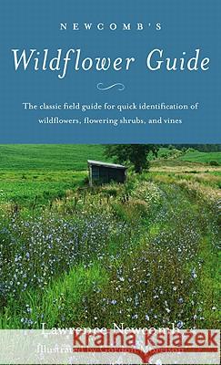 Newcomb's Wildflower Guide Lawrence Newcomb Gordon Morrison 9780316604420 Little Brown and Company - książka