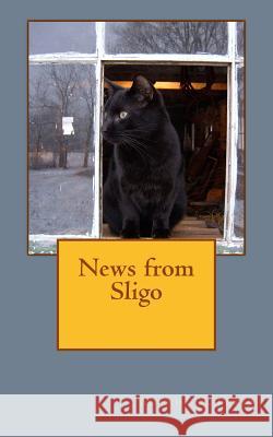 News from Sligo Amanda L. Irwin 9781940514017 Ozark Mountain Writers Guild - książka