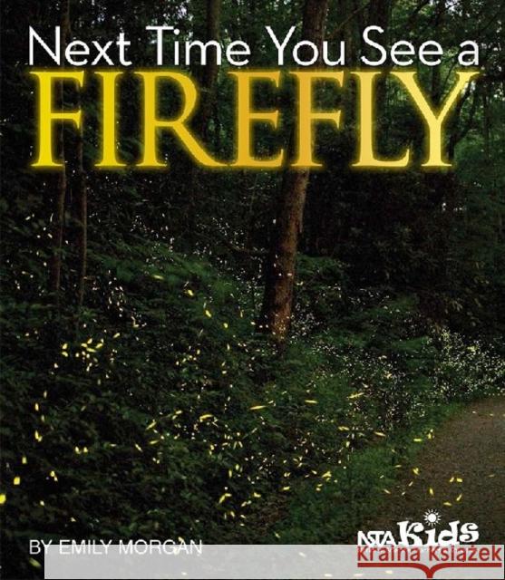 Next Time You See a Firefly Emily R Morgan   9781936959181 National Science Teachers Association - książka