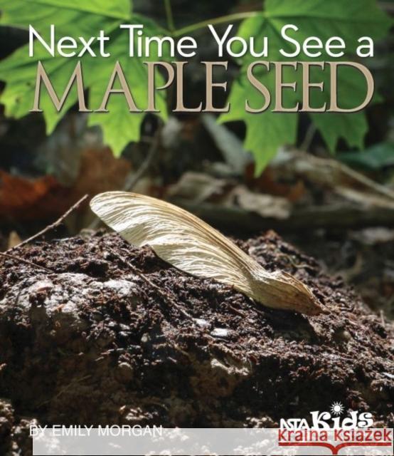 Next Time You See a Maple Seed Emily Morgan   9781938946356 National Science Teachers Association - książka