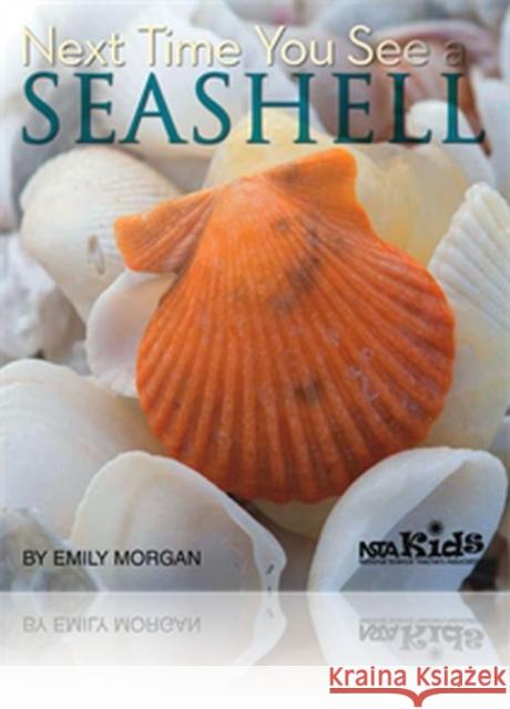 Next Time You See a Seashell Emily Morgan 9781936959150  - książka