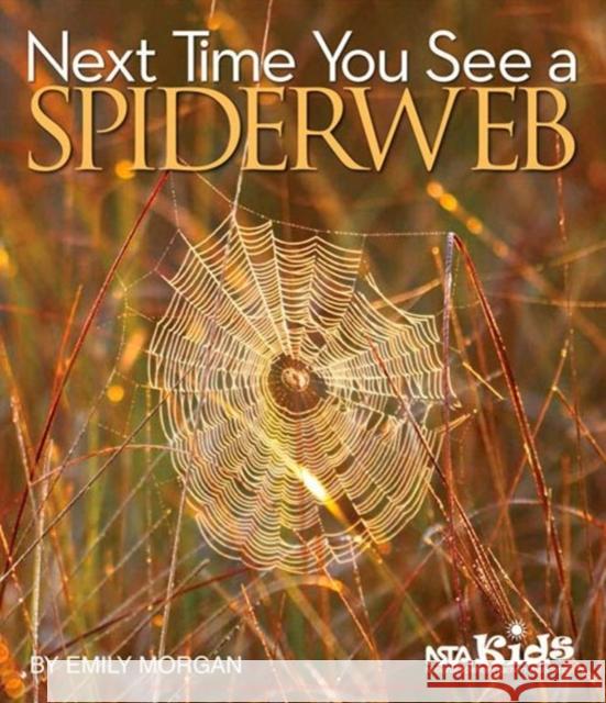 Next Time You See a Spiderweb Emily Morgan 9781938946349 National Science Teachers Association - książka