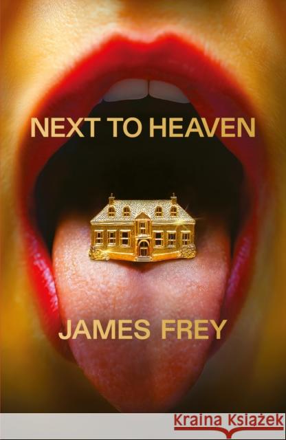 Next to Heaven: The PROVOCATIVE new novel from BESTSELLING author of A Million Little Pieces James Frey 9781800755451 Swift Press - książka