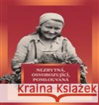 Nezbytná, osvobozující, pomlouvaná Dana Musilová 9788088030218 Veduta - książka