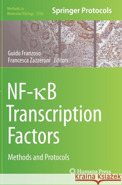 Nf-κb Transcription Factors: Methods and Protocols Franzoso, Guido 9781071616680 Humana - książka