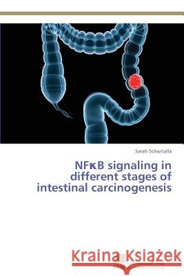 NFκB signaling in different stages of intestinal carcinogenesis Schwitalla, Sarah 9783838135182 Sudwestdeutscher Verlag Fur Hochschulschrifte - książka