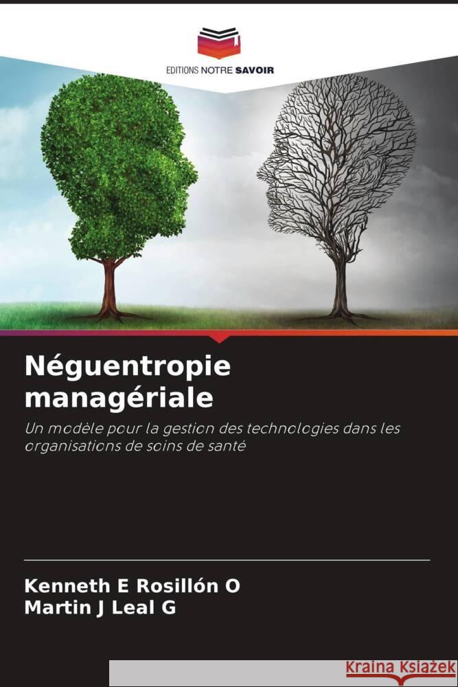 Néguentropie managériale Rosillón O, Kenneth E, Leal G, Martin J 9786206189619 Editions Notre Savoir - książka