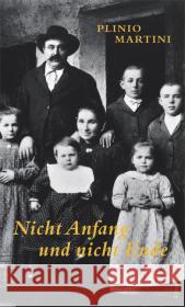 Nicht Anfang und nicht Ende : Roman einer Rückkehr Martini, Plinio Fein, Trude   9783857914959 Limmat Verlag - książka