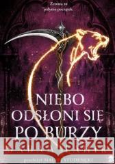 Niebo odsłoni się po burzy Sabaa Tahir 9788368576658 Czwarta Strona - książka