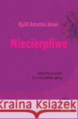Niecierpliwe Djali Amadou Amal 9788367029780 NOWELA - książka