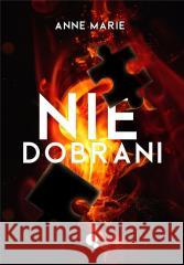 Niedobrani Anne Marie 9788367357586 Dlaczemu - książka