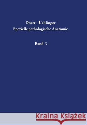 Niere Und Ableitende Harnwege Zollinger, H. U. 9783642876332 Springer - książka