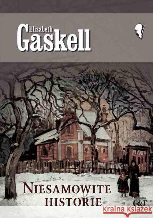 Niesamowite historie Gaskell Elizabeth 9788374703048 C&T - książka