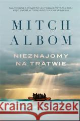 Nieznajomy na tratwie ALBOM MITCH 9788382025903 ZYSK I S-KA - książka