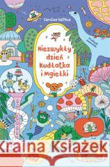 Niezwykły dzień Kudłatka i Mgiełki Caroline Dall'Ava, Caroline Dall'Ava, Joanna Kuhn 9788310141965 Nasza Księgarnia - książka