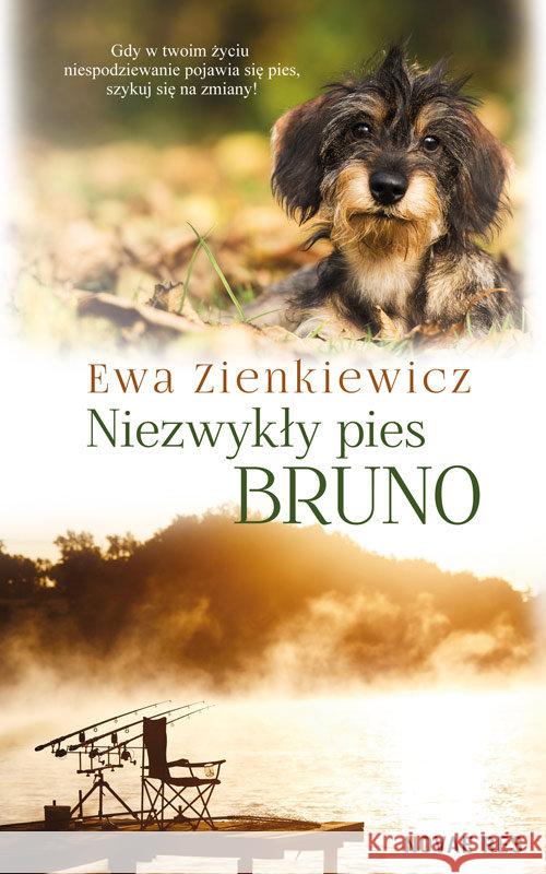 Niezwykły pies Bruno Zienkiewicz Ewa 9788381473170 Novae Res - książka