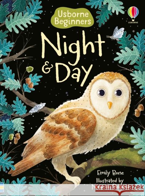 Night and Day Emily Bone Nina de Polonia  9781474979399 Usborne Publishing Ltd - książka