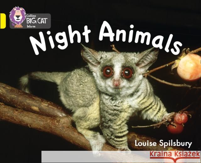 Night Animals: Band 03/Yellow Louise Spilsbury 9780007412952 HarperCollins Publishers - książka