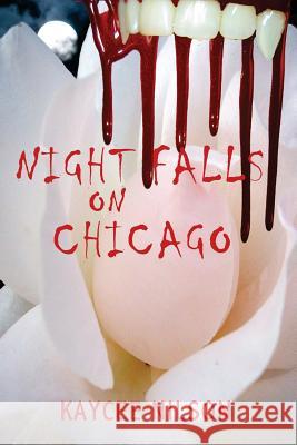 Night Falls on Chicago Kaycee Nilson 9780984721597 All Things That Matter Press - książka