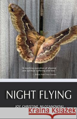 Night Flying Joy Christine Mlozanowski 9780998929378 Kin Press - książka