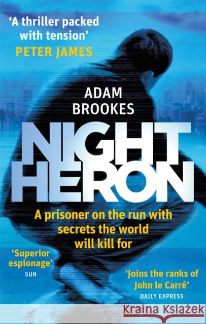 Night Heron Adam Brookes 9780751552508 Little, Brown Book Group - książka