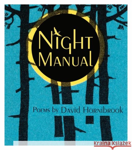 Night Manual David Hornibrook 9780814346624 Wayne State University Press - książka