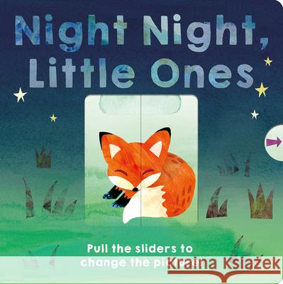 Night Night, Little Ones: Pull the Sliders to Change the Picture! Patricia Hegarty Thomas Elliott 9781664350328 Tiger Tales - książka