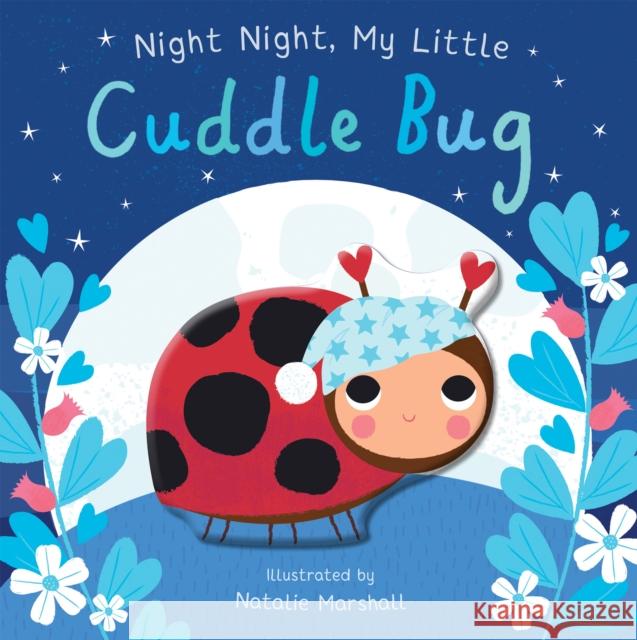 Night Night, My Little Cuddle Bug Edwards, Nicola 9781838915704 Little Tiger Press Group - książka