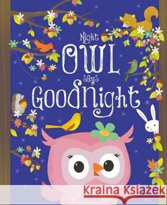 Night Owl Says Goodnight  9781786702890 Bonnier Books Ltd - książka