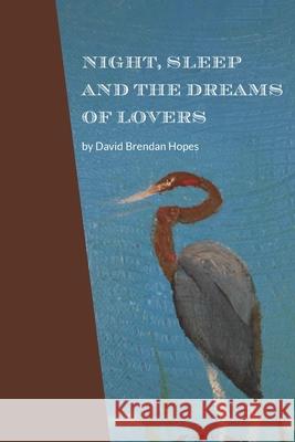 Night, Sleep and the Dreams of Lovers David Brendan Hopes 9781940605975 Black Mountain Press - książka