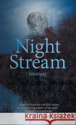 Night Stream Vic Amato 9781663275905 iUniverse - książka