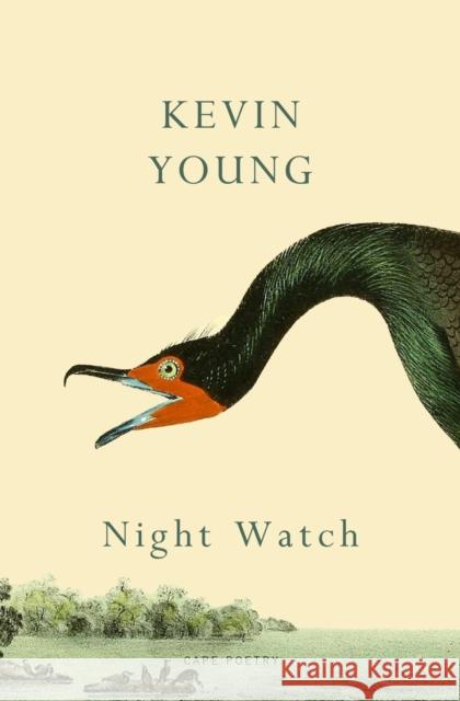 Night Watch Kevin Young 9781787335271 Vintage Publishing - książka