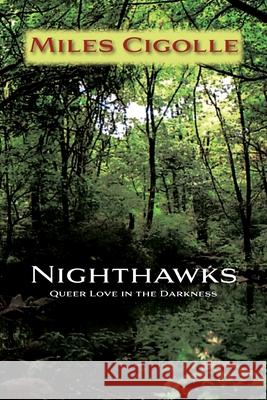 Nighthawks: Queer Love in the Darkness Miles Cigolle 9781632937636 Sunstone Press - książka