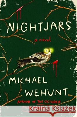 Nightjars Michael Wehunt 9781250333728 St. Martin's Press - książka