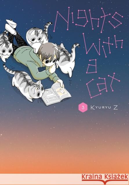 Nights with a Cat, Vol. 3 Stephen Paul 9781975380670 Little, Brown & Company - książka