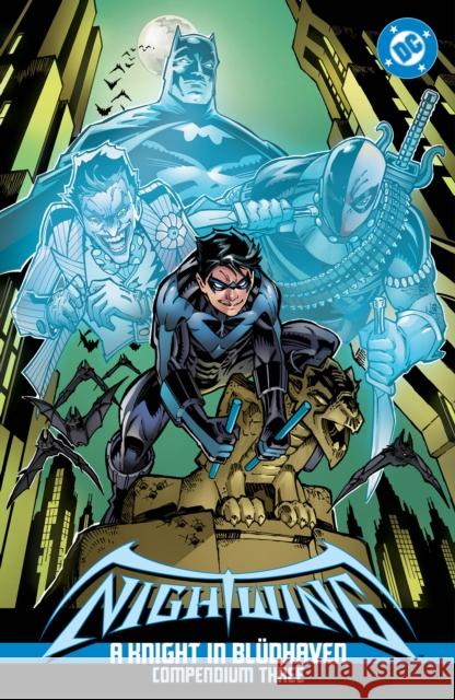 Nightwing: A Knight in Bludhaven Compendium Three Ed Brubaker 9781799508120 DC Comics - książka