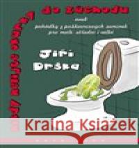 Nikdy nelijte okurky do záchodu Pavel Rak 9788087169841 Kava-Pech - książka