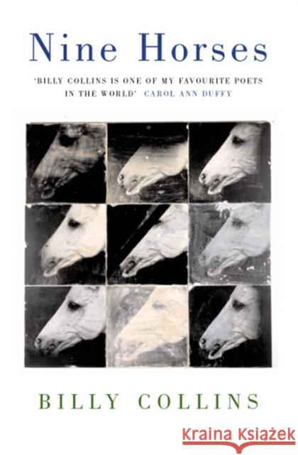 Nine Horses Billy Collins 9780330413046 Pan Macmillan - książka