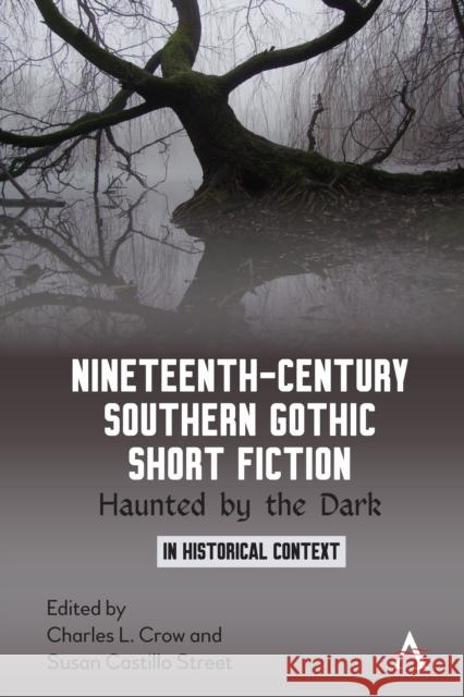 Nineteenth-Century Southern Gothic Short Fiction: Haunted by the Dark Charles L. Crow Susan Castillo Street 9781785273872 Anthem Press - książka