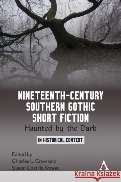 Nineteenth-Century Southern Gothic Short Fiction: Haunted by the Dark Charles L Susan Castill 9781785279744 Anthem Press - książka