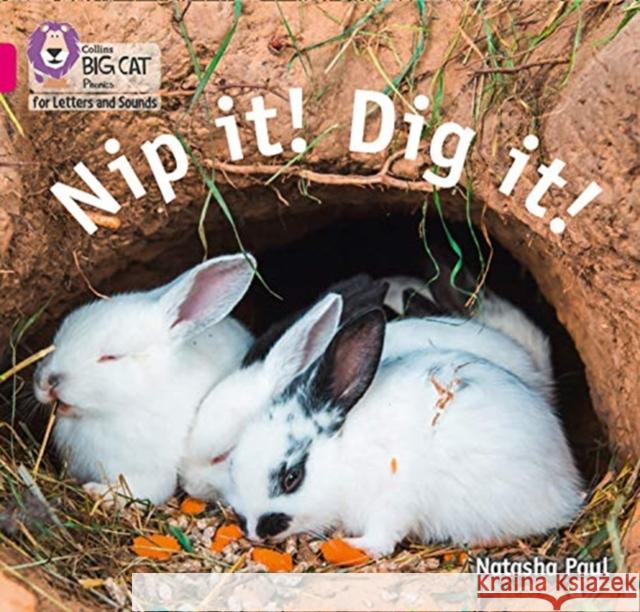 Nip it! Dig it!: Band 01b/Pink B  9780008409777 HarperCollins Publishers - książka