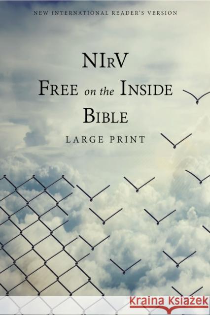 NIRV, Free on the Inside Bible, Large Print, Paperback  9780310445968 Zondervan - książka