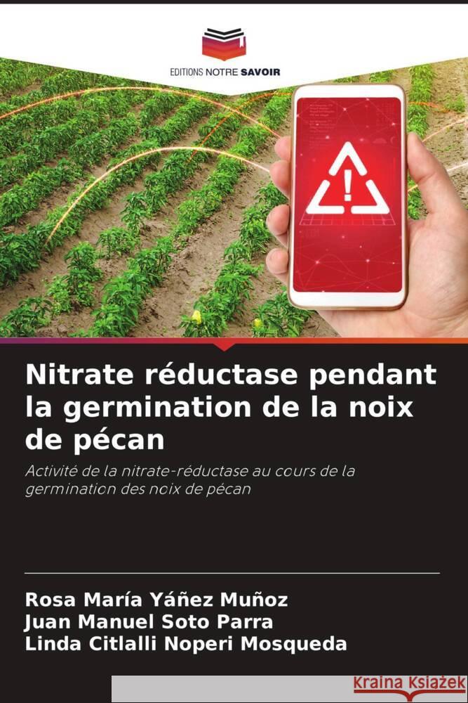 Nitrate r?ductase pendant la germination de la noix de p?can Rosa Mar?a Y??e Juan Manuel Sot Linda Citlalli Noper 9786206875604 Editions Notre Savoir - książka